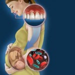 pregnancy and dental health